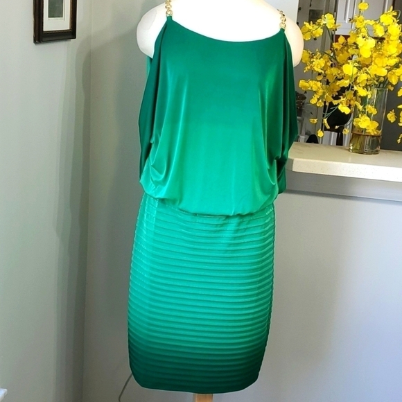 Green,ombre dress, size large. Drop waist with elastic waist. Gold chain at top. - Picture 1 of 11